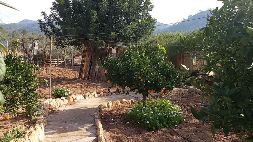 Rural Chalet in Olocau